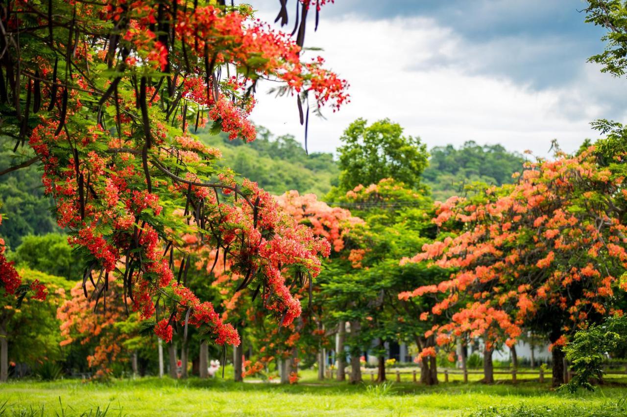 Diamond Hill Resort Nong Nam Daeng Екстериор снимка
